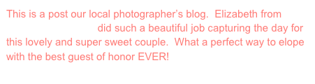 This is a post our local photographer’s blog.  Elizabeth from Pure Plush Photography did such a beautiful job capturing the day for this lovely and super sweet couple.  What a perfect way to elope with the best guest of honor EVER!
